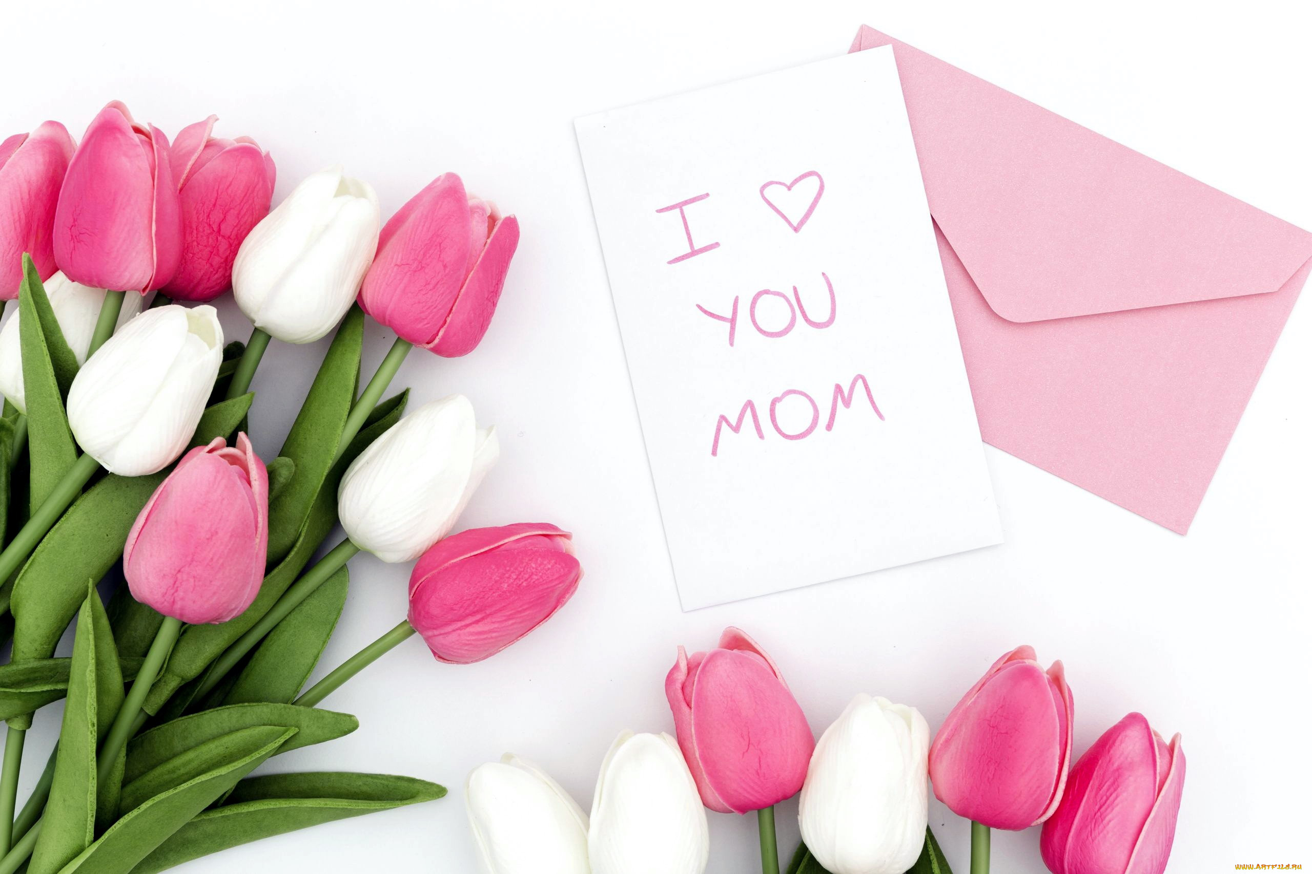 Тюльпаны мама купить. Тюльпаны для мамы. Тюльпаны надпись. С днем матери тюльпаны. Открытки с тюльпанами без надписей.
